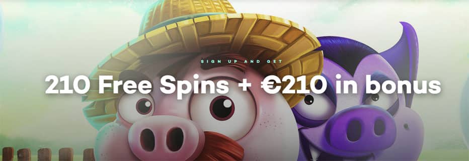 210 Euro Bonus 21com Casino