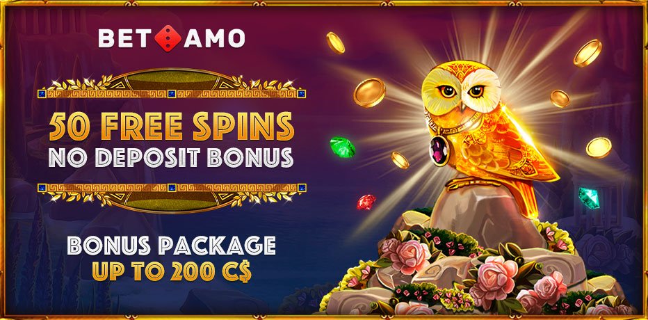 Play the Best Live Dealer Casino Games at BetAmo