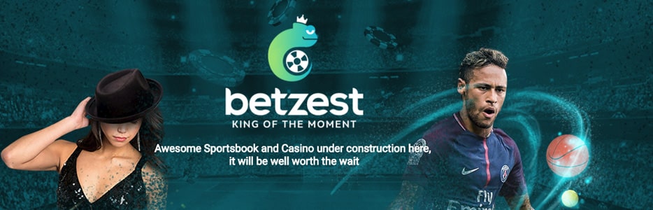 Betzest pourrait bien être le nouveau meilleur bookmaker.