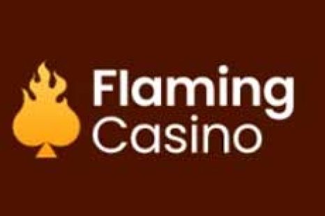 Flaming Casino No Deposit Bonus – 25 Free Spins on Big Bass Bonanza