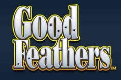 Good Feathers Video Slot Review