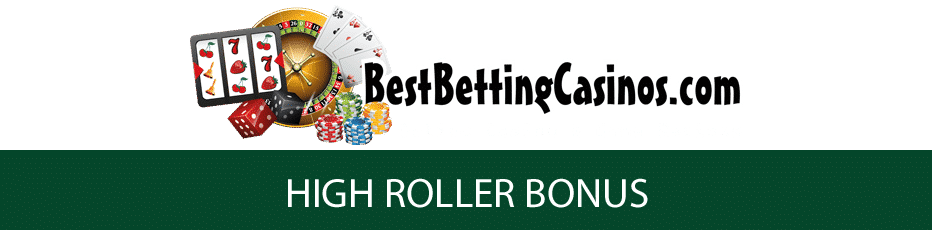 high roller casino free bonus - 3