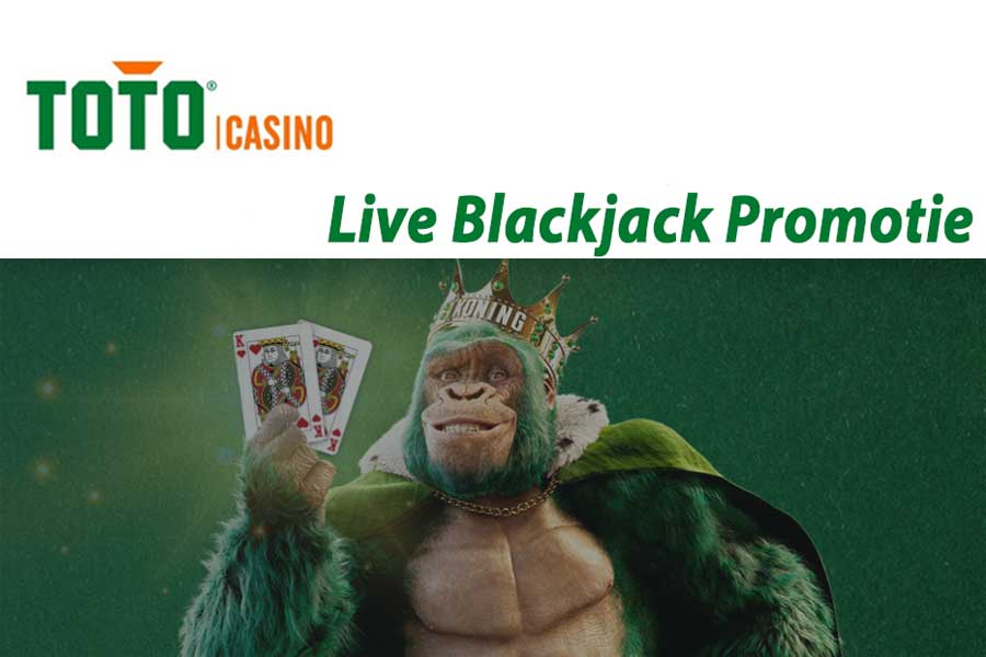 TOTO Casino organiseert een Live Blackjack promotie