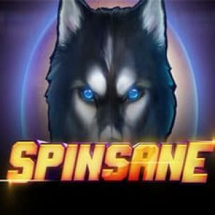 Spinsane Video Slot Review