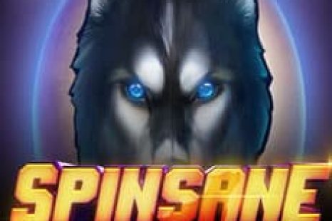 Spinsane Video Slot Review