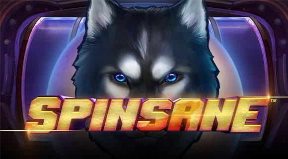 Spinsane Video Slot Review