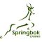 Springbok Casino – R11,500 Welcome Bonus + R300 Free
