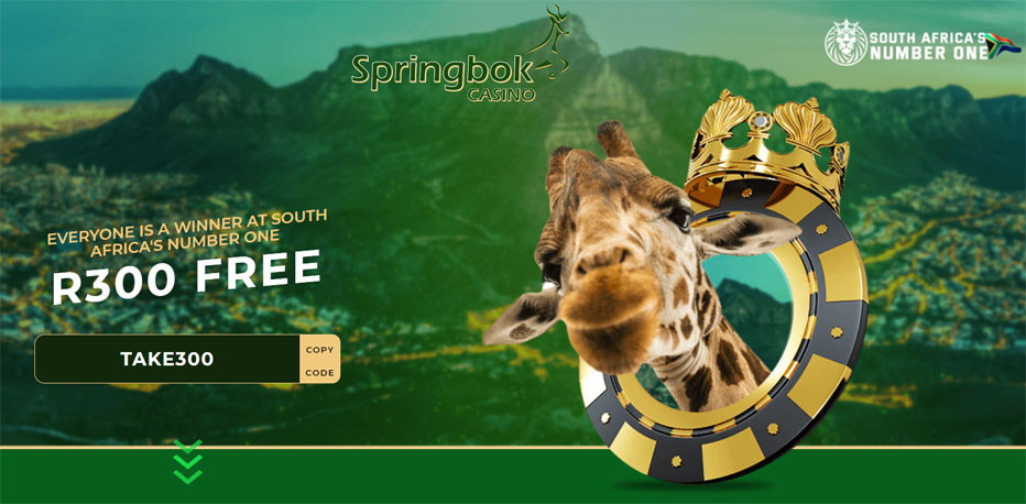 springbok no deposit bonus codes nee player