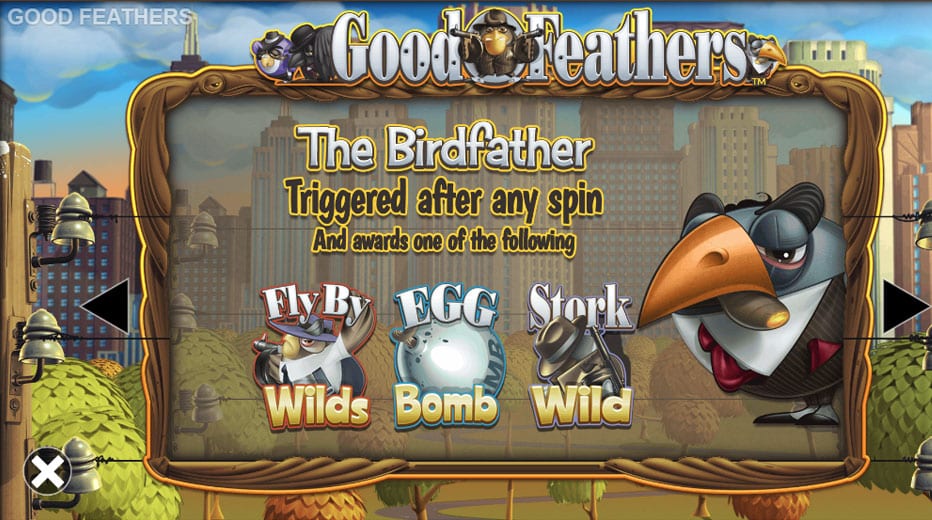 The Birdfather Feature