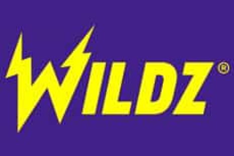 Wildz Casino (ワイルズカジノ) ボーナスレビュー・$500ボーナス + フリースピン200回