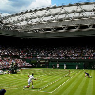 Wetten auf Wimbledon – Tipps und Prognosen