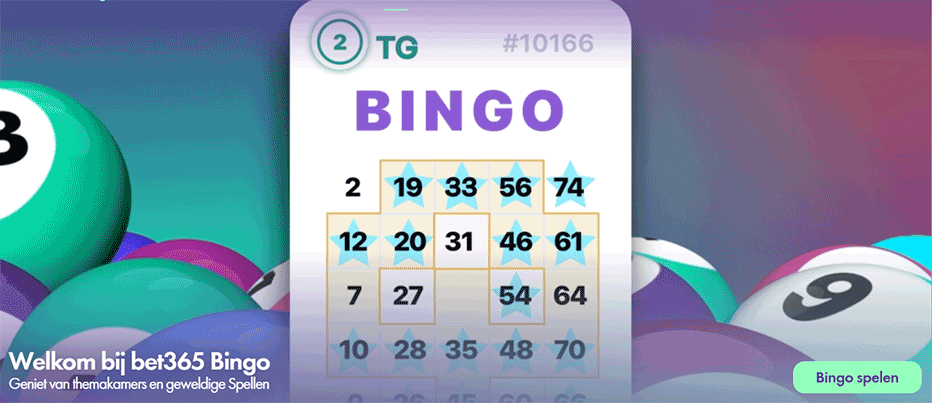 bet365 bingo nederland