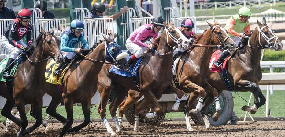 Live betting on horse racing