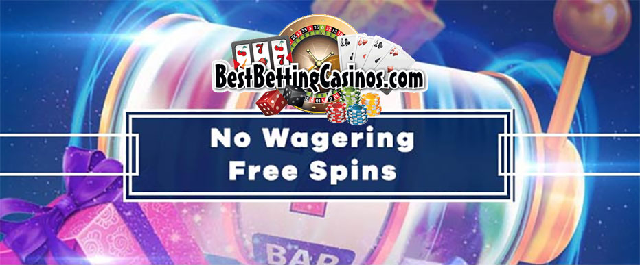 free spins no deposit no wager nz