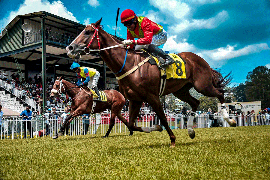 The popularity of Horse Racing is huge in the United States