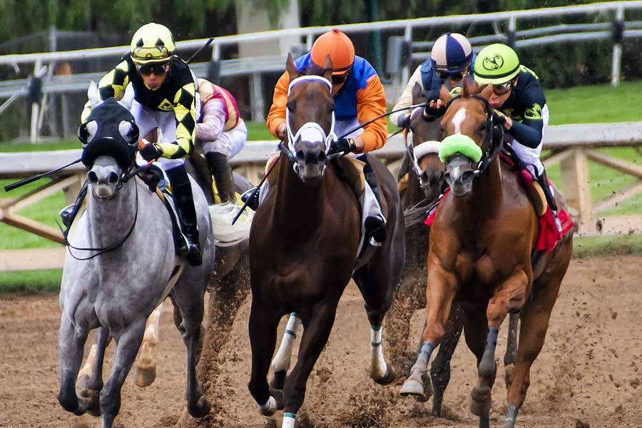 Understanding Kentucky Derby Payouts