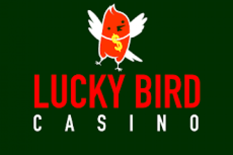LuckyBird Bonus – 50 Free Spins Book of Dead (No Deposit Needed)