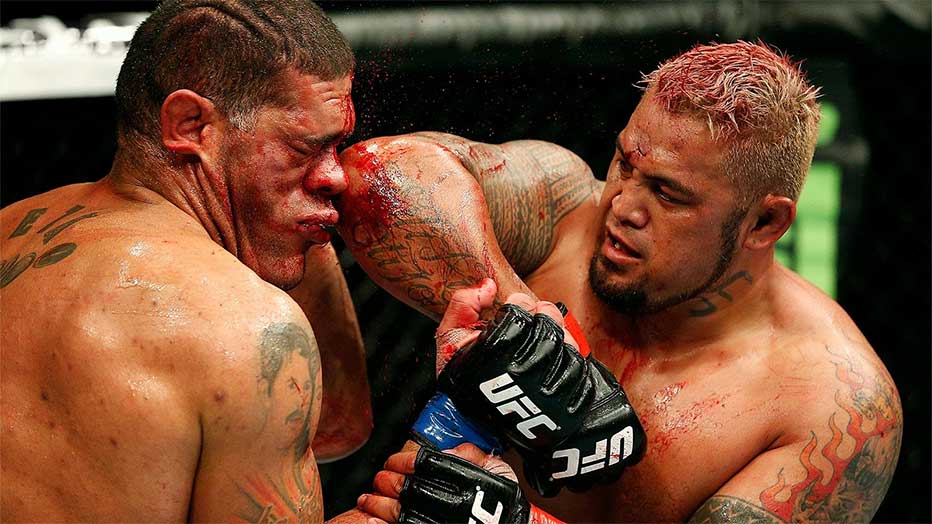 mark hunt ufc fighter new zealand