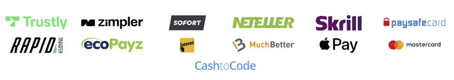 platin payment methods