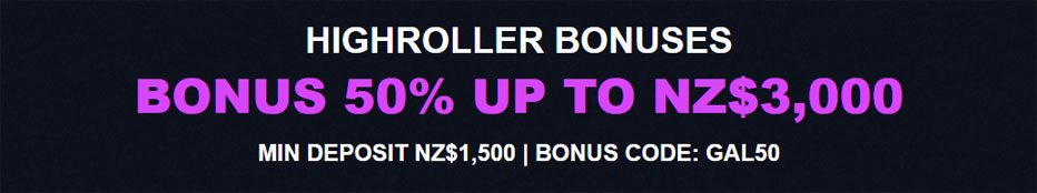 slots gallery new zealand high rollers