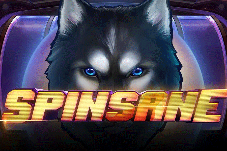 Spinsane