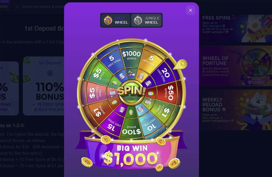 wheel of fortune wild.io