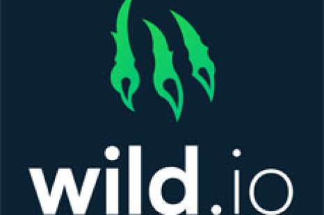 Wild.io Casino Review – 20 Freispiele Bonus ohne Einzahlung