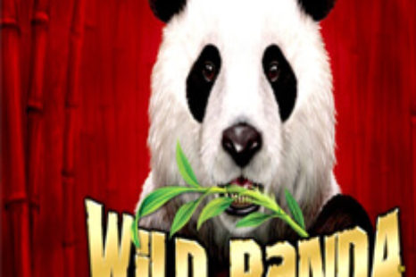 Wild Panda Slot Machine Wins